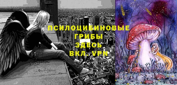 ПСИЛОЦИБИНОВЫЕ ГРИБЫ Арсеньев