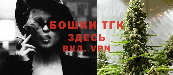 ПСИЛОЦИБИНОВЫЕ ГРИБЫ Арсеньев