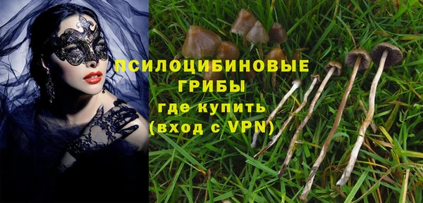 ПСИЛОЦИБИНОВЫЕ ГРИБЫ Арсеньев